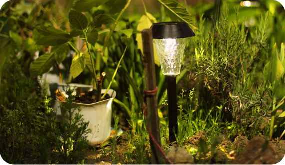 lampy solarne wśród traw i roślin w ogrodzie
